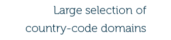 Professionals in .pl registration