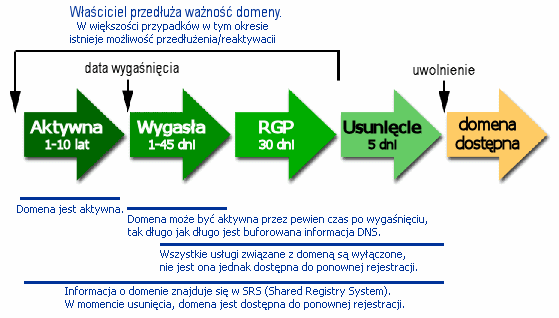 backorder