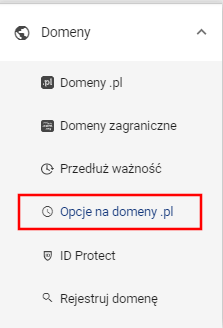 Opcja na domenę wybór domeny