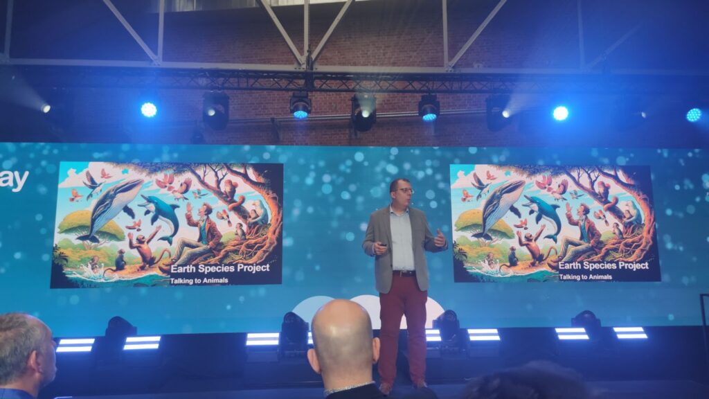 2023 .eu Web Awards domeny.tv i mserwis8