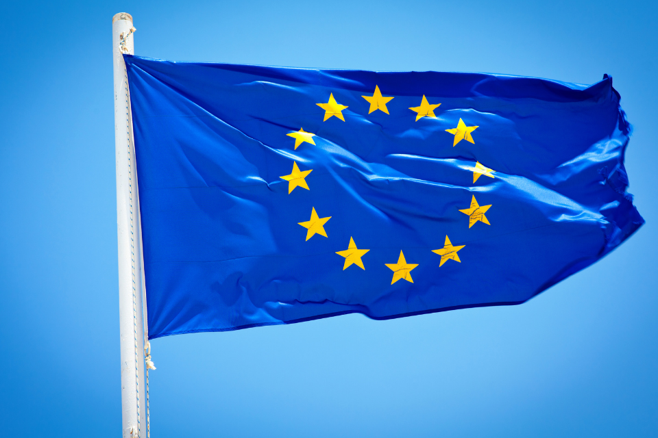 Domeny eu - minął rok od rozpoczęcia publicznej rejestracji