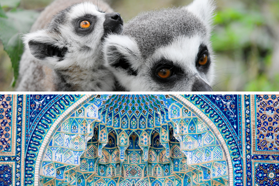 Nowe domeny dostępne do rejestracji - Uzbekistan i Madagaskar