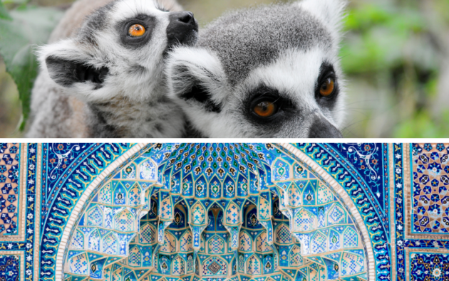 Nowe domeny dostępne do rejestracji - Uzbekistan i Madagaskar