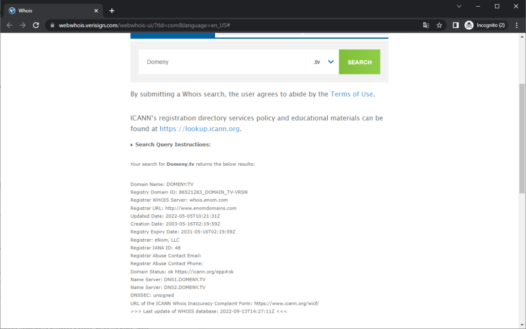 Rysunek 5 Wyniki wyszukiwanie w bazie WHOIS domen