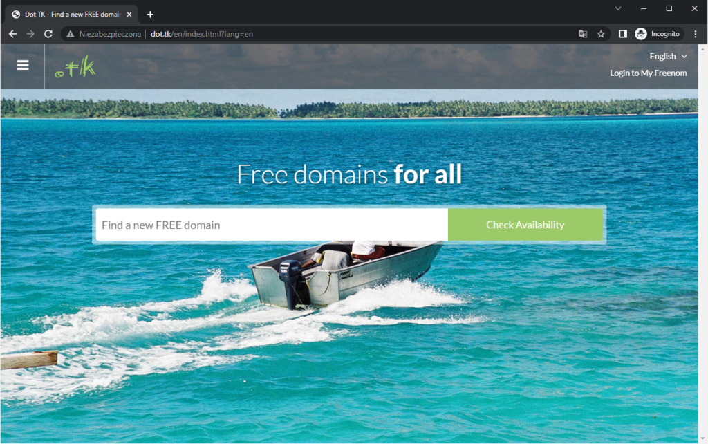 Rysunek3 Niezabezpieczona strona z zamówieniem darmowej domeny tk