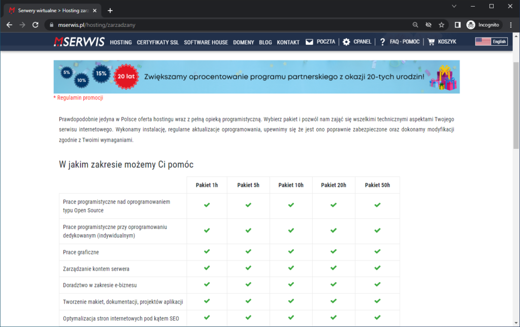 Rysunek 5 Usługi dodatkowe oferowane w ramach hostingu zarządzanego w MSERWIS.pl