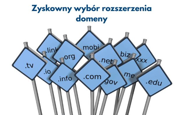 Zyskowny wyb&oacute;r rozszerzenia domeny, czyli jak końc&oacute;wka domenowa pracuje na sprzedaż