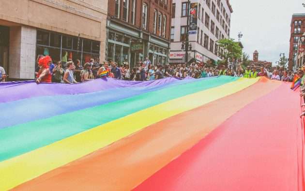 Domena .gay dostępna w prerejestracji