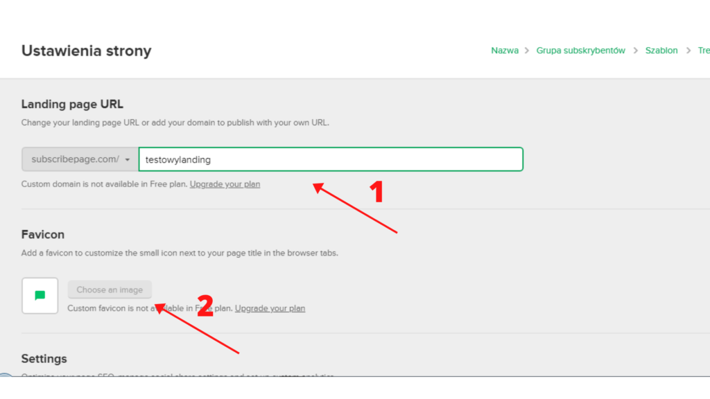 Rysunek 11 Ustawienia adresu strony landing page mailerlite 